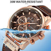 CURREN CUR8291-GB Quartz Wristwatch